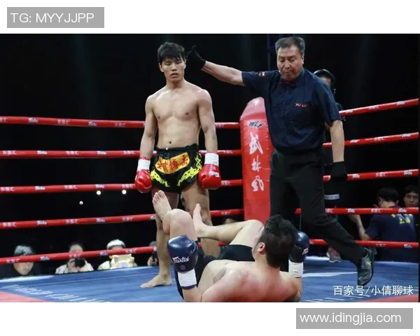 武林风一龙挑战韩国选手展现中国武术魅力与实力的巅峰对决